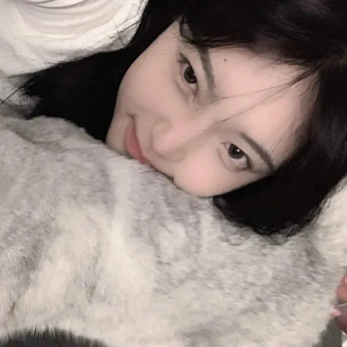 我们是一群小鸟